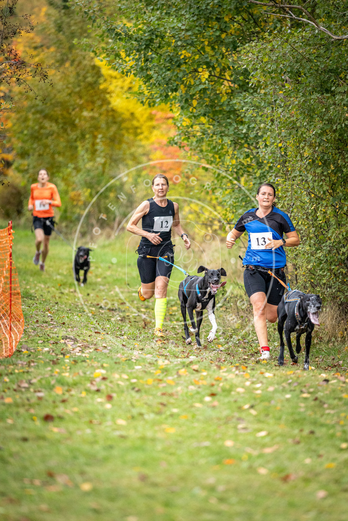 Pfotenfotografie_DV3A1805 | Hundefotografie, Tierfotograf, Pfotenfotografie, Fotoshooting Hund, Hunde Portrait, Hundesport, Hundeportraits, Heideshooting, Hunde, Sportfotograf, Hundefotograf, Turnierhundsport, THS,  - Realisiert mit Pictrs.com