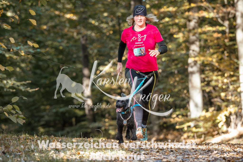 1206_ZZ94278 | kk-dogfotos