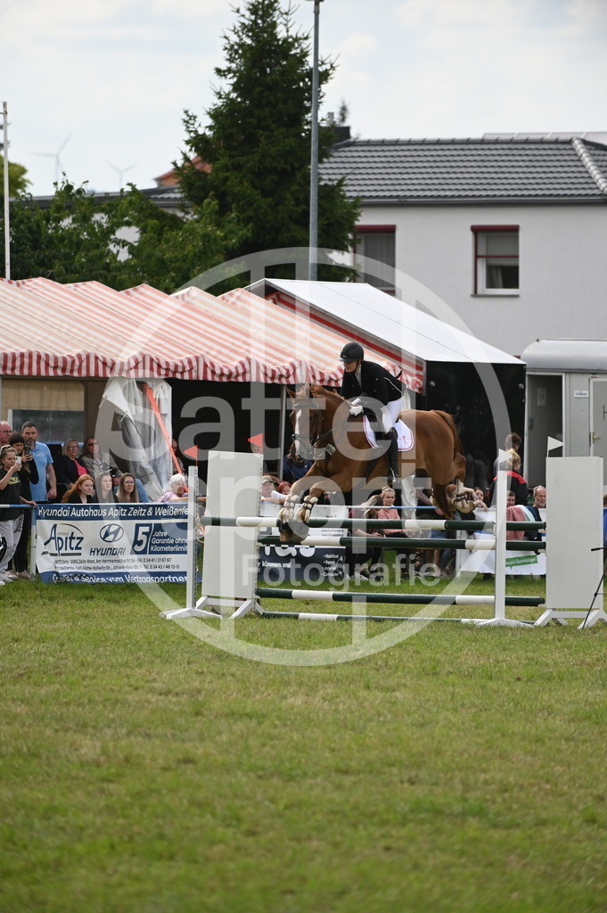 DSC_3161 | sattelsport - Realisiert mit Pictrs.com