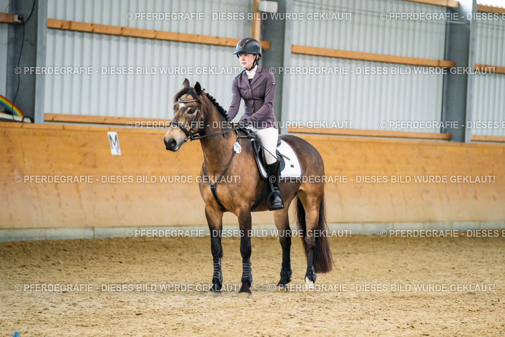 DSC00598 | Pferdegrafie