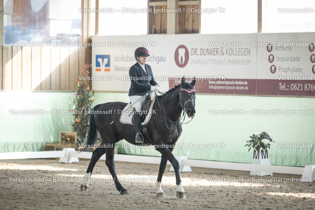 _D5A2729 | Emotionale Pferde- & People-Fotografie rund um Heidelberg, Leimen & Umgebung. Natürliche Fotos von Pferd, Mensch & Familie. Jetzt Termin sichern!