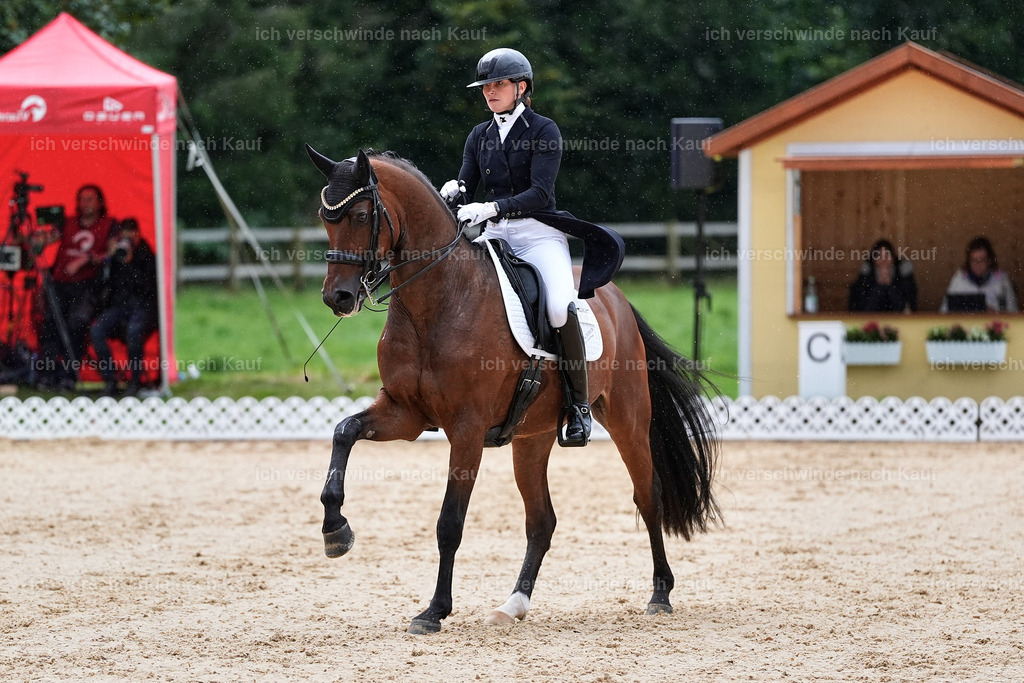 8_1-100-Klasse S_  -StoibPH-3882 | working equitationturnier fotograf videograf stoibphotography marixx film working equitation deutschland reitsport turnierfotografie eventfotografie equestrian events