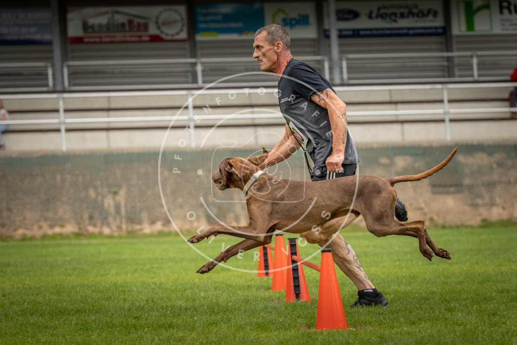 Pfotenfotografie_DV3A7827 | Hundefotografie, Tierfotograf, Pfotenfotografie, Fotoshooting Hund, Hunde Portrait, Hundesport, Hundeportraits, Heideshooting, Hunde, Sportfotograf, Hundefotograf, Turnierhundsport, THS,  - Realisiert mit Pictrs.com