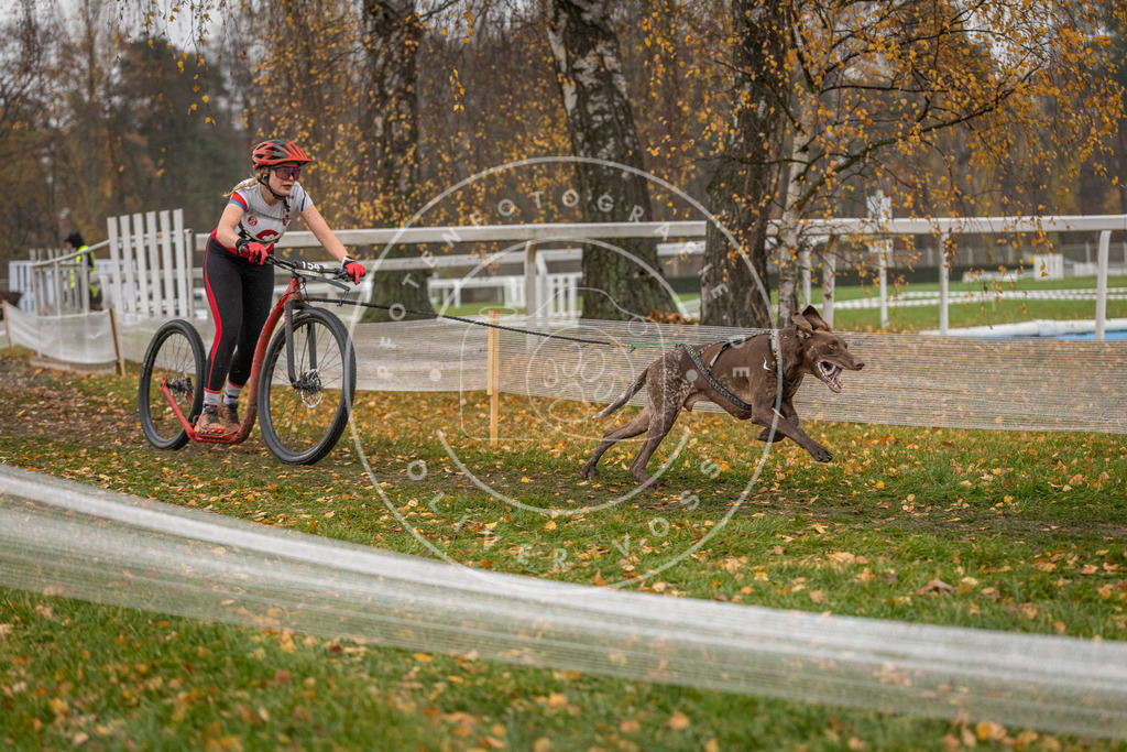CaniXpix_DV3A7743 | Hundefotografie, Tierfotograf, Pfotenfotografie, Fotoshooting Hund, Hunde Portrait, Hundesport, Hundeportraits, Heideshooting, Hunde, Sportfotograf, Hundefotograf, Turnierhundsport, THS,  - Realisiert mit Pictrs.com