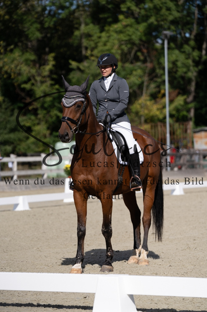 A7V07033 | Pferdefotograf