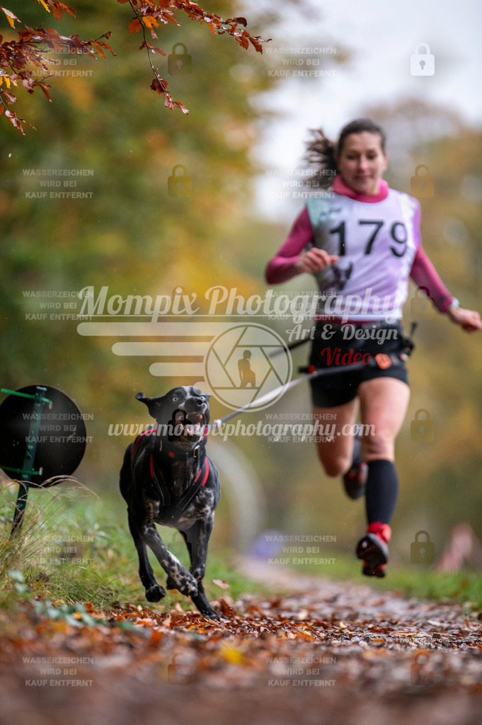 DBT_DAKM_SA_4_11_2023_Canicross-68 | PayLife
