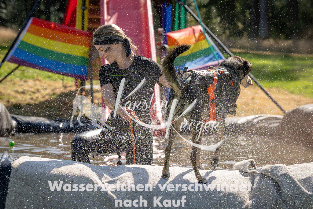 1452_ZZ91888 | kk-dogfotos