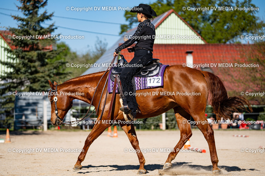 Balingen Tag 1-798 | dv-media-shop - Realisiert mit Pictrs.com