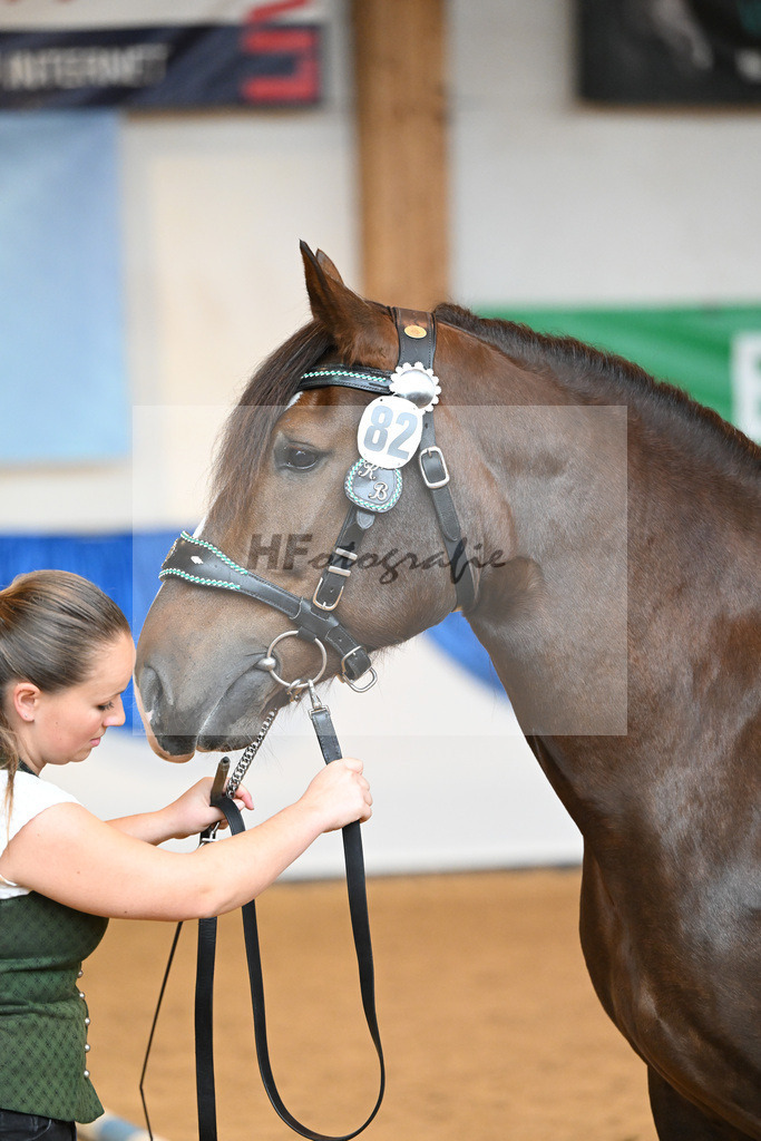 Kat-Nr. 82 Rebeca_Bauer_53220421 | hf-fotografie - Realisiert mit Pictrs.com