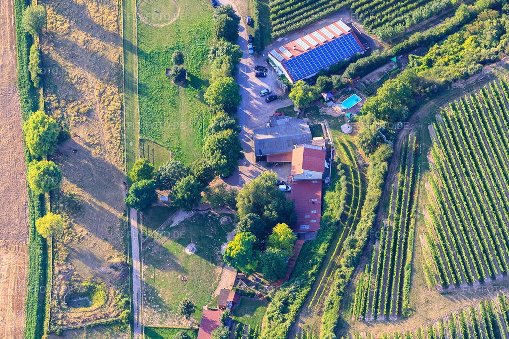 Luftbild: Ranch Herxe in Herxheim bei Landau im Bundesland Rheinland-Pfalz in Deutschland. Foto: IMG_51377.jpg vom 04.08.2012 durch Werner Riehm/FLY-FOTO.de