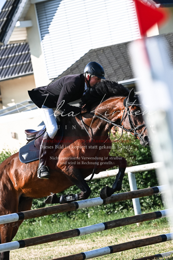 DSC_7479 | Pferde- und Turnierfotografie in Westsachsen. Pferdeportraits, Auftragszeichnungen und intuitive Kunst.