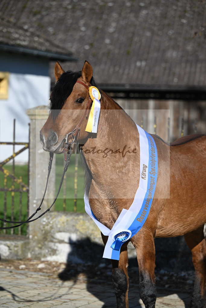 Kat-Nr. 12 Tapadero v. Tape Isidoro_Seefried_49250565 | hf-fotografie - Realisiert mit Pictrs.com