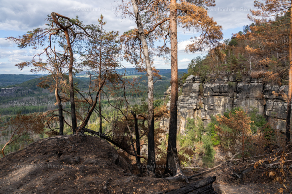 Obere_Affensteinpromenade_Wespenturm_Winterbergbarbarine | 2022-09-02_Waldbrandgebiete_2 - Realisiert mit Pictrs.com