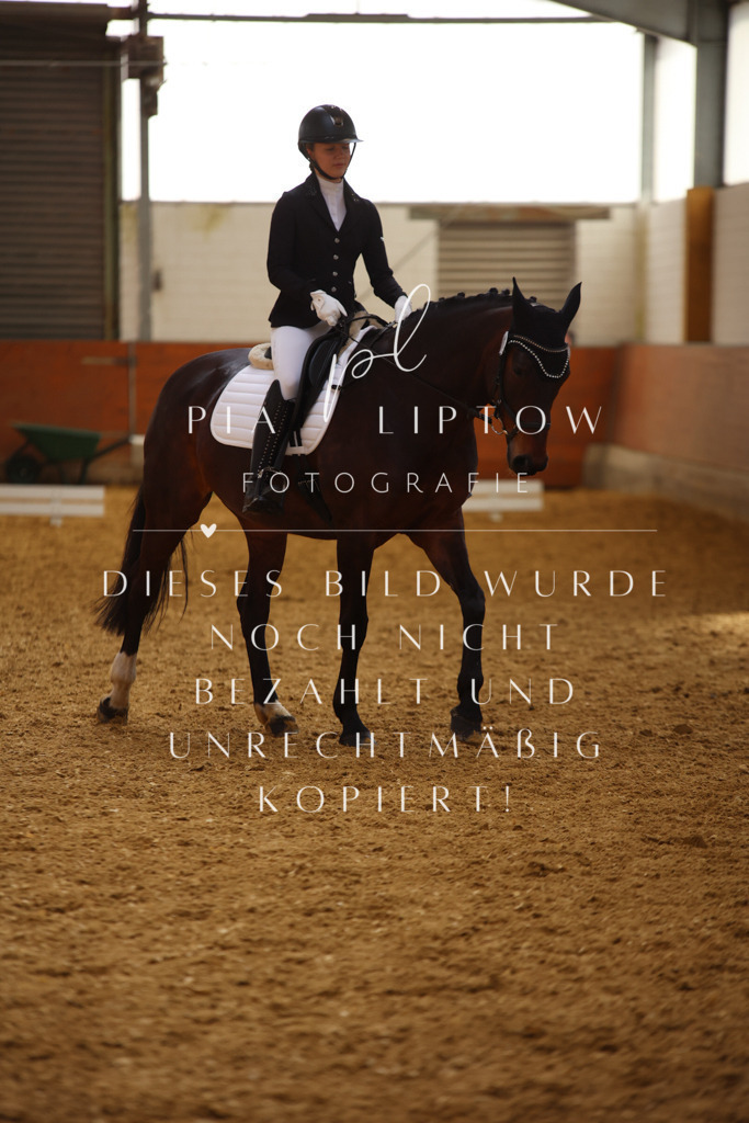 IMGT3773 | pl-fotografie