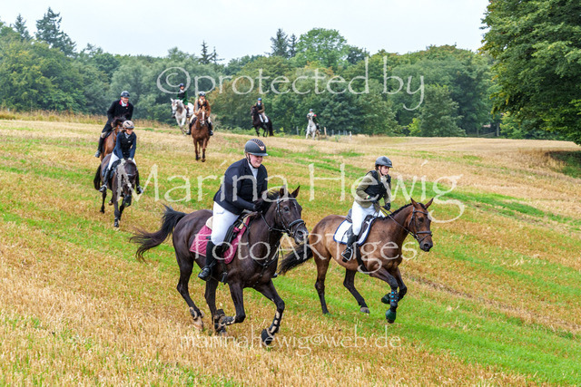 Jagd Kletkamp 26-02893_MarinaHewig | Fotografie, FotoArt, PferdesportArt, Pferdesportfotografie, Landschaftsfotografie, Reisefotografie, Reise, Pferde - Realisiert mit Pictrs.com