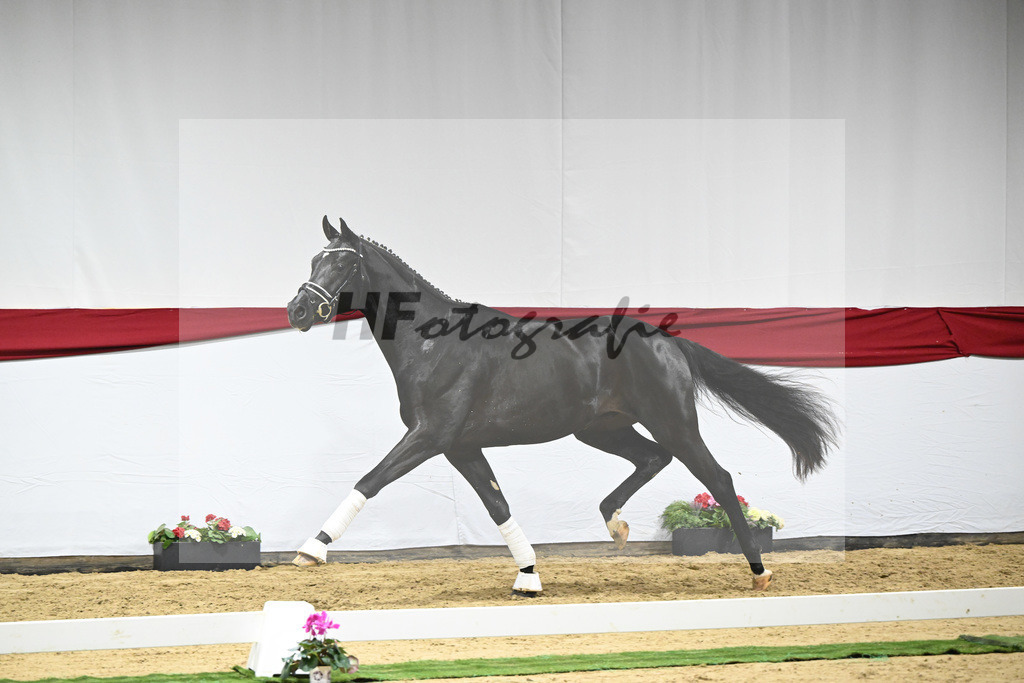Kat-Nr. 65 v. Ferrantino_Greim_63221653 | hf-fotografie - Realizzato con Pictrs.com