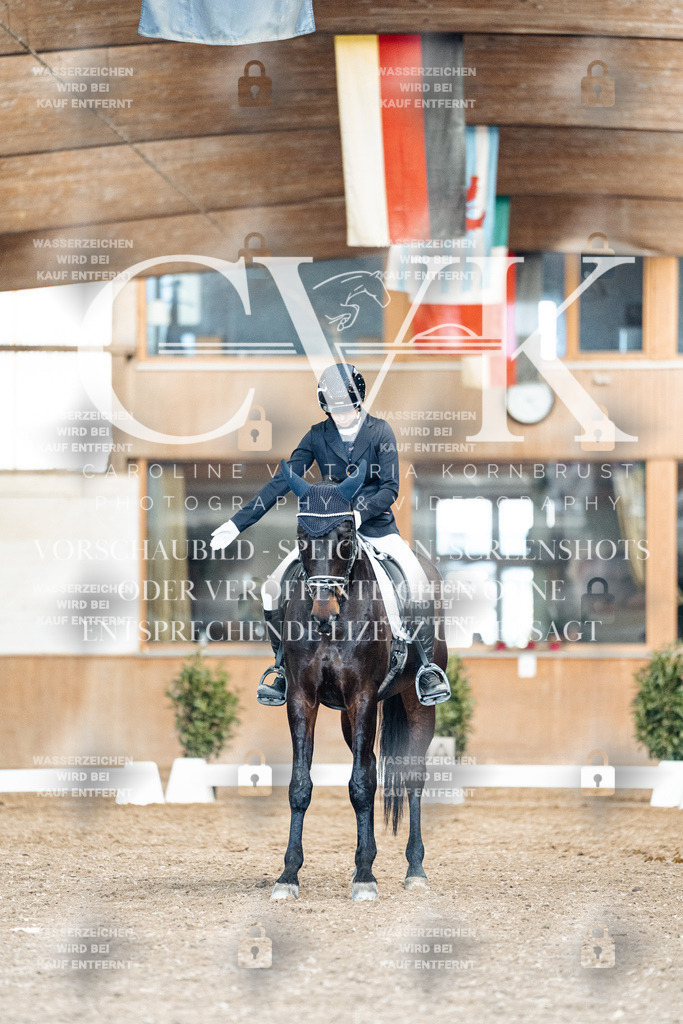 CK901346 | Turnierfotografie Pferdefotografie Trier Rheinland-Pfalz Pferdesport Reitsport Tierfotografie Sportfotografie Pferdevideo Pferdevideografie Equestrianvideography equestrianphotography  - Realisiert mit Pictrs.com