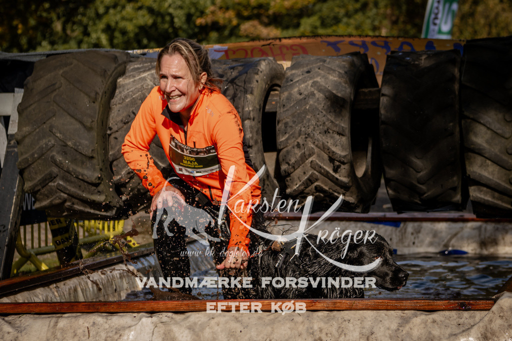 1302_ZZ91703 | kk-dogfotos