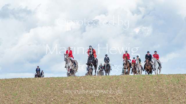 Jagd Knoop 26_MarinaHewigMCH02523 | Fotografie, FotoArt, PferdesportArt, Pferdesportfotografie, Landschaftsfotografie, Reisefotografie, Reise, Pferde - Realisiert mit Pictrs.com