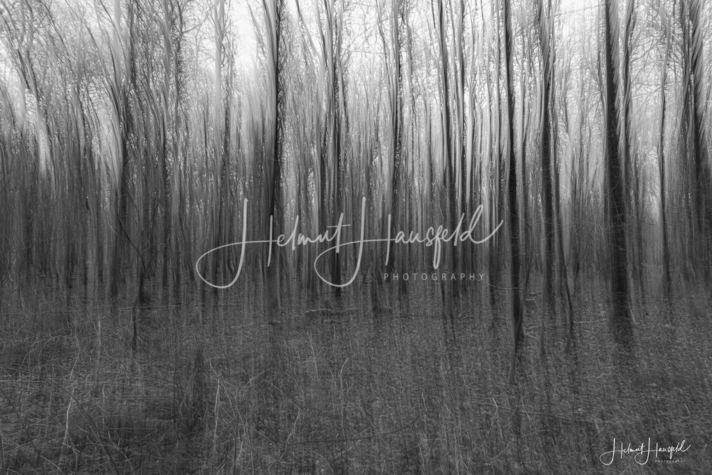 DSC05382kl | Landschaftsfotografie, Naturfotografie - Realisiert mit Pictrs.com