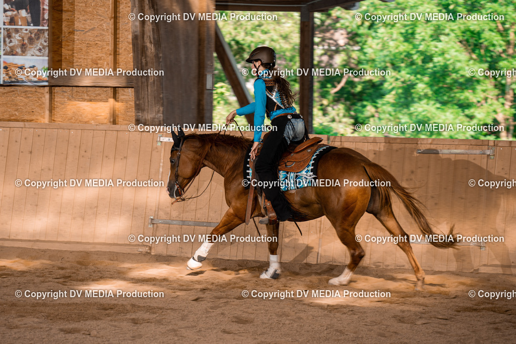 NE101144 | dv-media-shop - Realisiert mit Pictrs.com