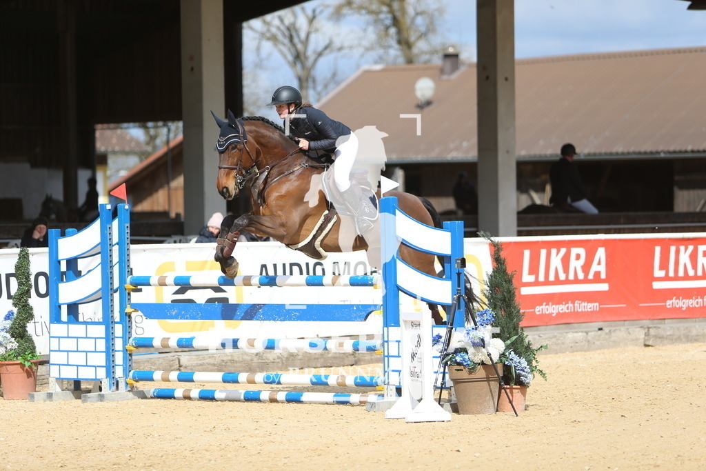 DL2Q9412 | Willkommen bei Brunnmayr - Design & Fotografie – Ihrem Spezialisten für Reitturniere und Pferdeveranstaltungen in Oberösterreich, Salzburg und Bayern! Seit über 17 Jahren sind wir leidenschaftlich dabei.