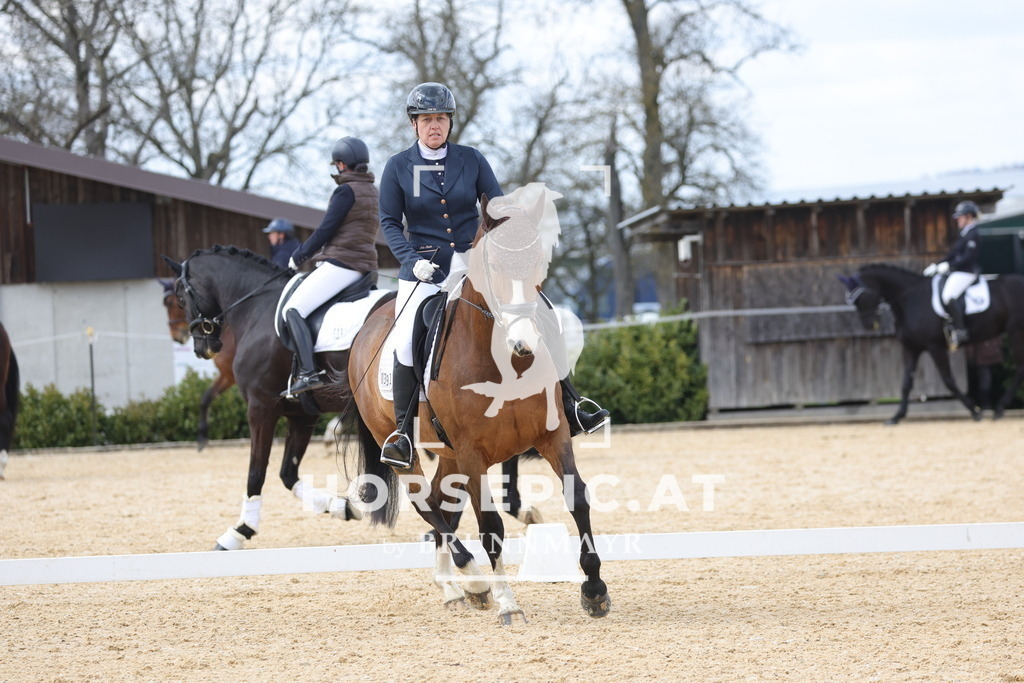 0P6A7383 | Willkommen bei Brunnmayr - Design & Fotografie – Ihrem Spezialisten für Reitturniere und Pferdeveranstaltungen in Oberösterreich, Salzburg und Bayern! Seit über 17 Jahren sind wir leidenschaftlich dabei.