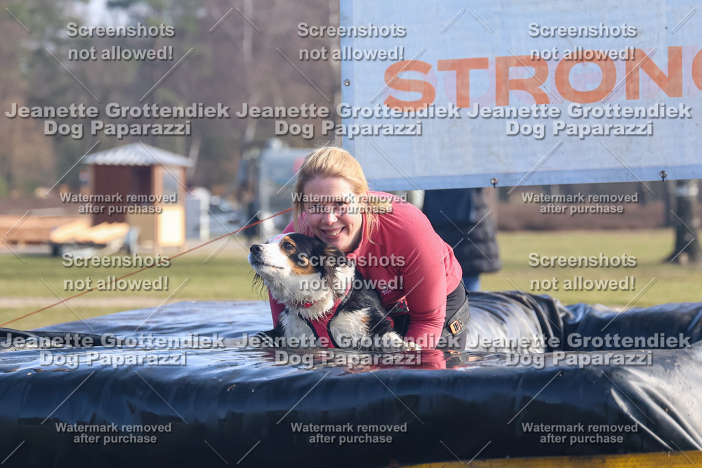 Dog Paparazzi - Strongdog North Mrz26-999 | Dog Paparazzi Jeanette Grottendiek Fotografie & Videografie - Realisiert mit Pictrs.com