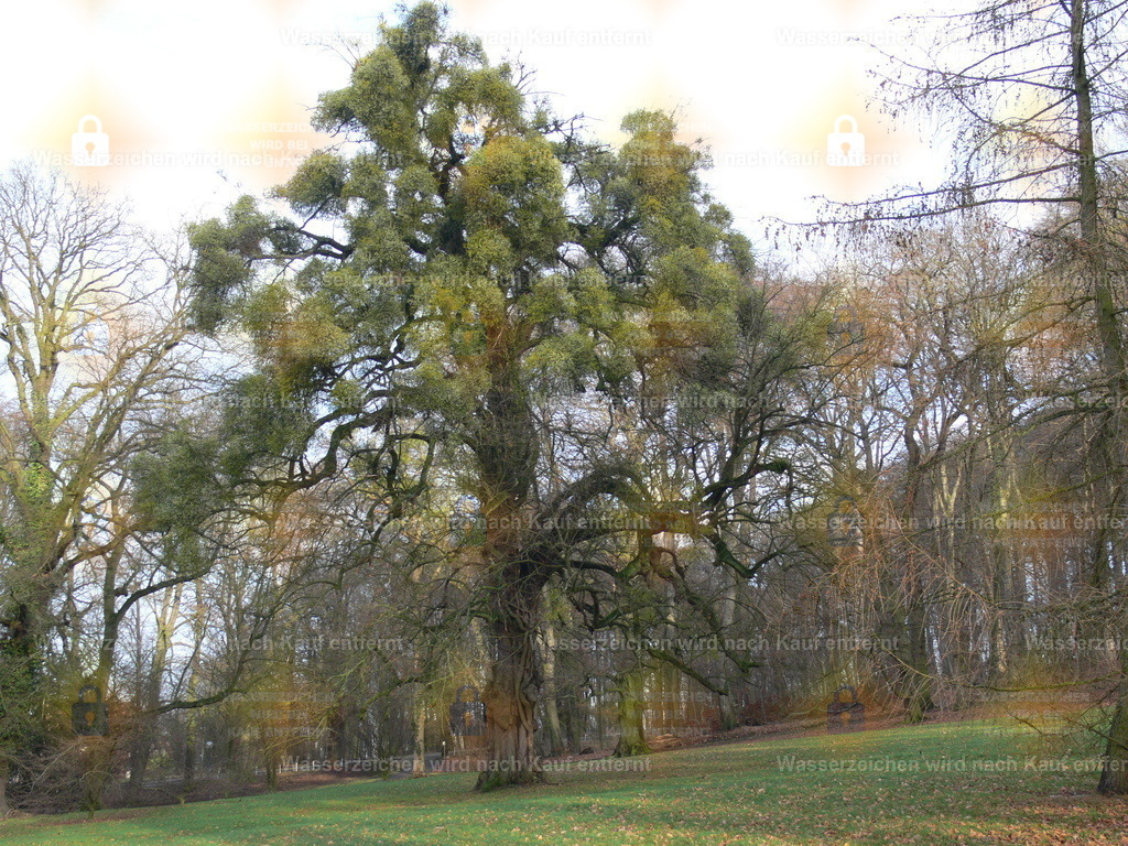 P1010777 | Fotoseite Wolkenblende - Das Hobby fotografieren begleitet mich schon  viele  Jahre. Auf den nächsten Seiten zeige ich ein paar Schnappschüsse der letzten Jahre und es kommen immer neue hinzu. Schau einfach mal rein. - Realisiert mit Pictrs.com