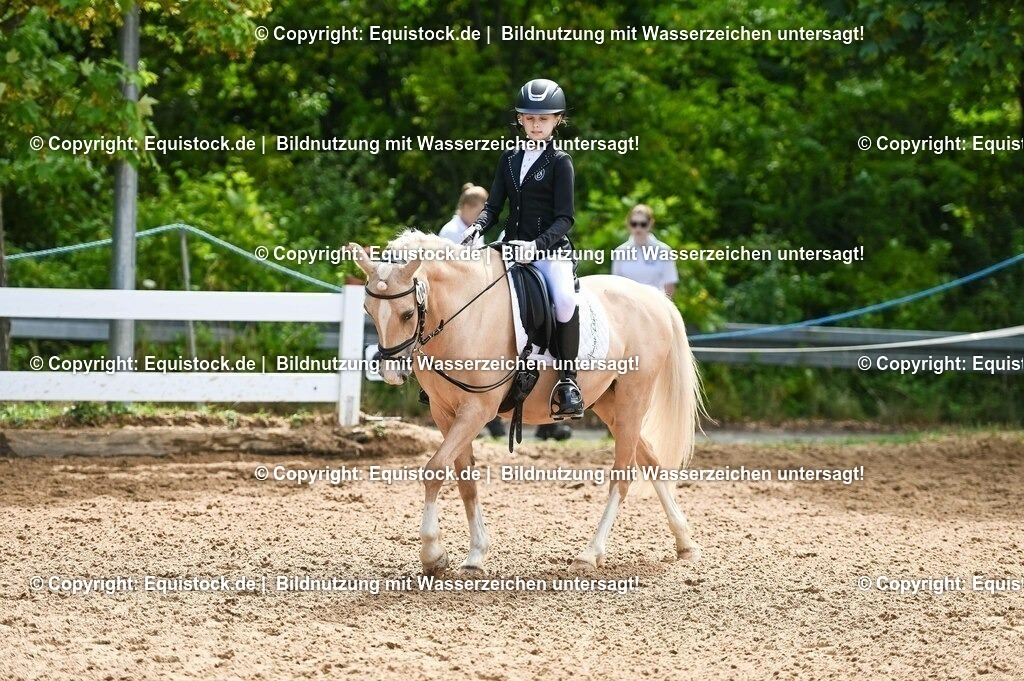 20230716_10-3_Reiter-WB Schritt - Trab - Galopp_0103 | equistock