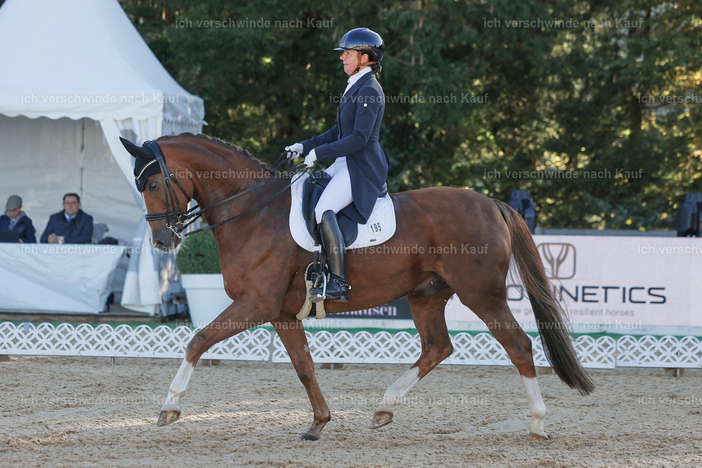 09_1-195-DRESSUR  S_  -StoibPH-5504 | working equitationturnier fotograf videograf stoibphotography marixx film working equitation deutschland reitsport turnierfotografie eventfotografie equestrian events