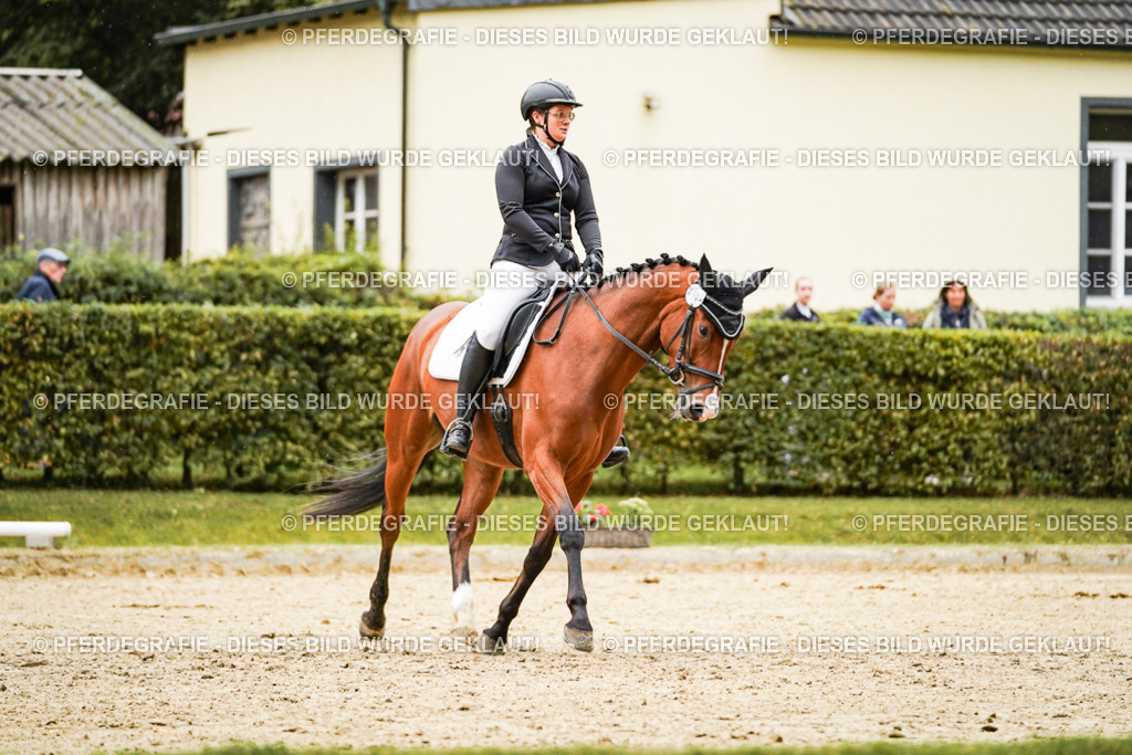 DSC07230 | Pferdegrafie