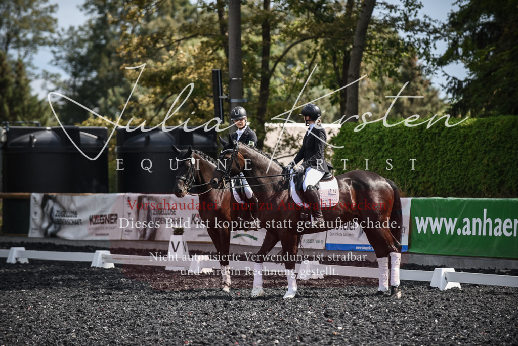 DSC_5123 | Pferde- und Turnierfotografie in Westsachsen. Pferdeportraits, Auftragszeichnungen und intuitive Kunst.