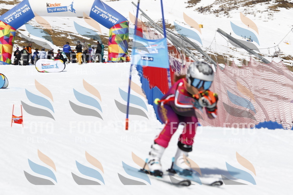 _U3G8319 | holidayphoto