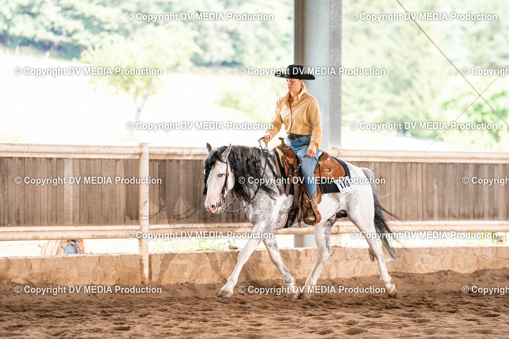 Erbach Tag 1-733 | dv-media-shop - Realisiert mit Pictrs.com