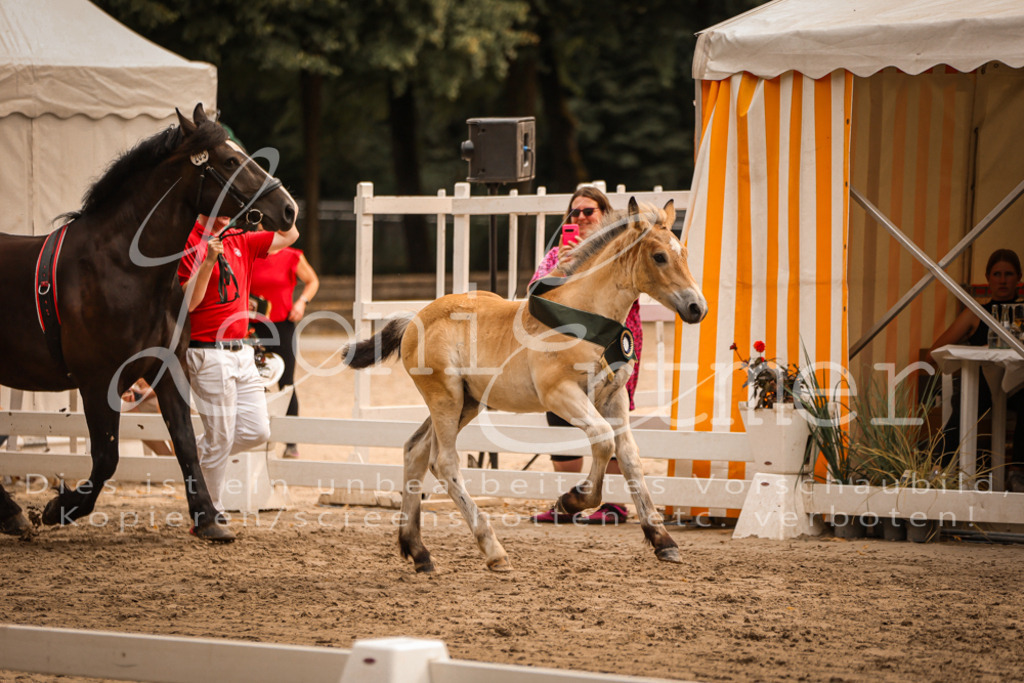 SaSF00169 | Leoni Ertmer Photography - Realisiert mit Pictrs.com