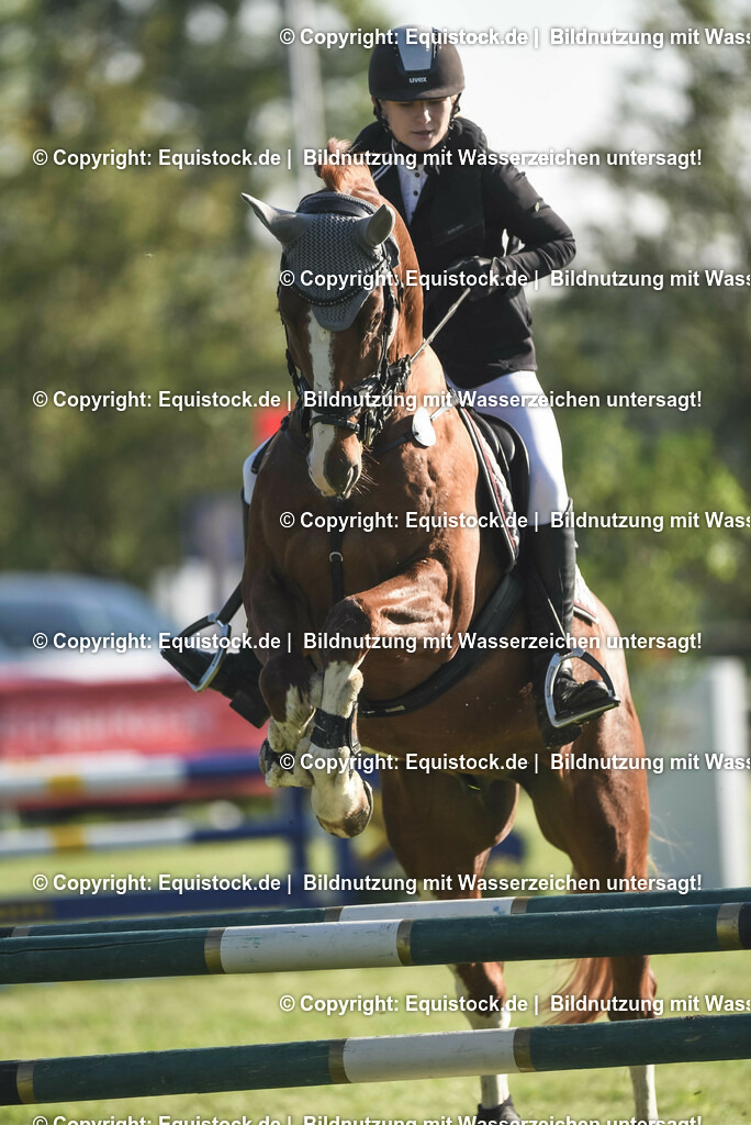 20230909_12_Stilspringen_A_0072 | Foto: Thomas Hartig