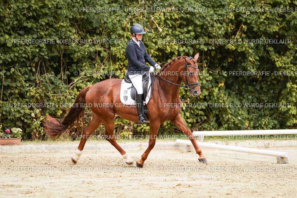 DSC09364 | Pferdegrafie