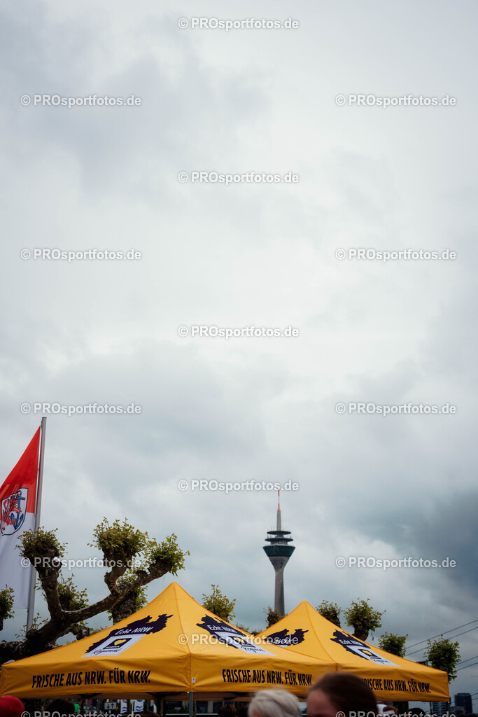 Brückenlauf, 17.05.2026 | am 17.05.2026 bei SPARDA-BANK Brückenlauf in Düsseldorf