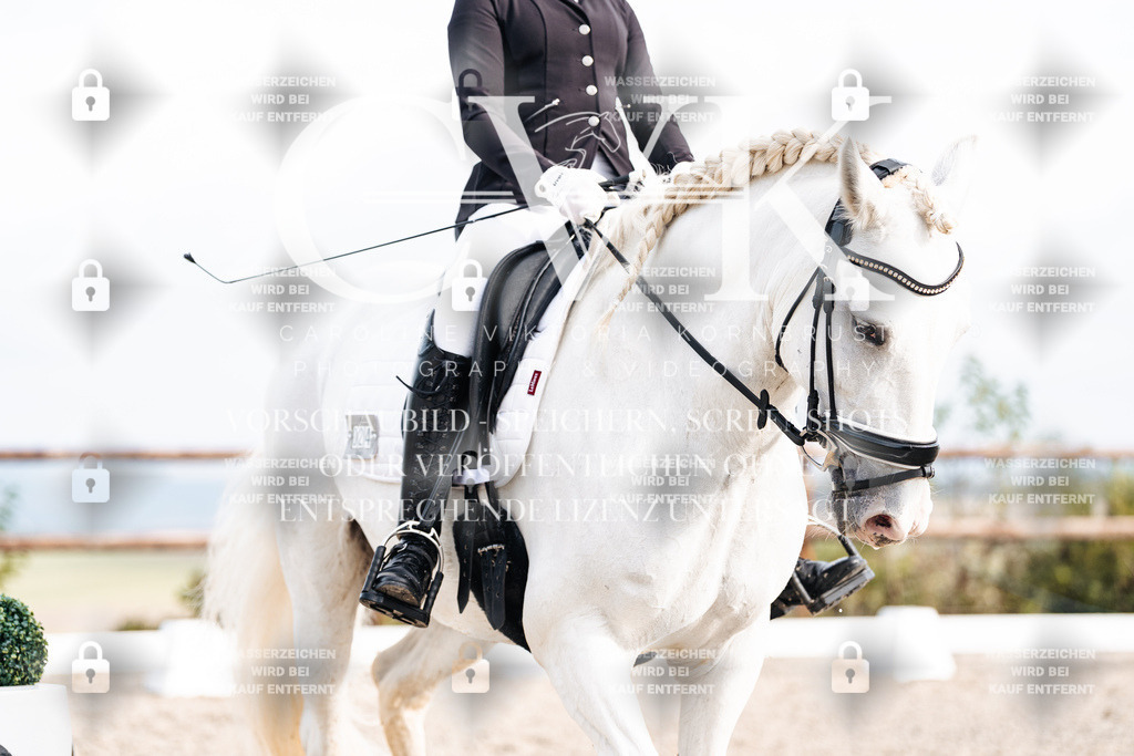 CK901295 | Turnierfotografie Pferdefotografie Trier Rheinland-Pfalz Pferdesport Reitsport Tierfotografie Sportfotografie Pferdevideo Pferdevideografie Equestrianvideography equestrianphotography  - Realisiert mit Pictrs.com