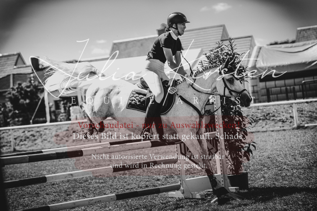 DSC_6895 | Pferde- und Turnierfotografie in Westsachsen. Pferdeportraits, Auftragszeichnungen und intuitive Kunst.