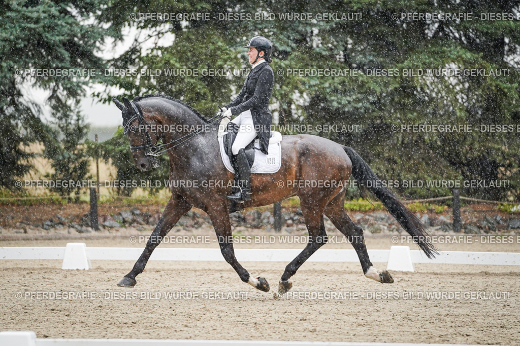 DSC08121 | Pferdegrafie