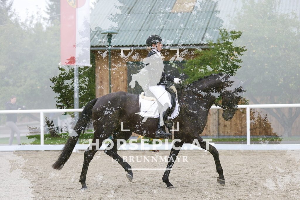 0P6A9121 | Willkommen bei Brunnmayr - Design & Fotografie – Ihrem Spezialisten für Reitturniere und Pferdeveranstaltungen in Oberösterreich, Salzburg und Bayern! Seit über 17 Jahren sind wir leidenschaftlich dabei.