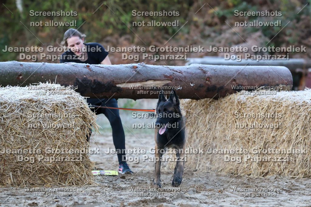 Dog Paparazzi - Strongdog 10-25-68 | Dog Paparazzi Jeanette Grottendiek Fotografie & Videografie - Realisiert mit Pictrs.com