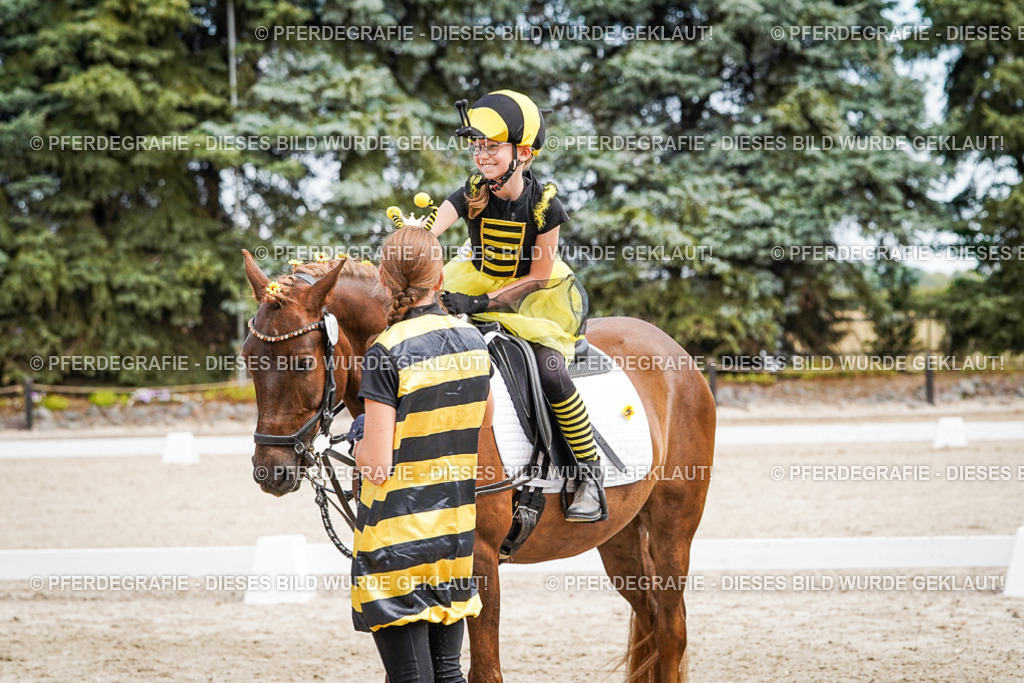 DSC03161 | Pferdegrafie