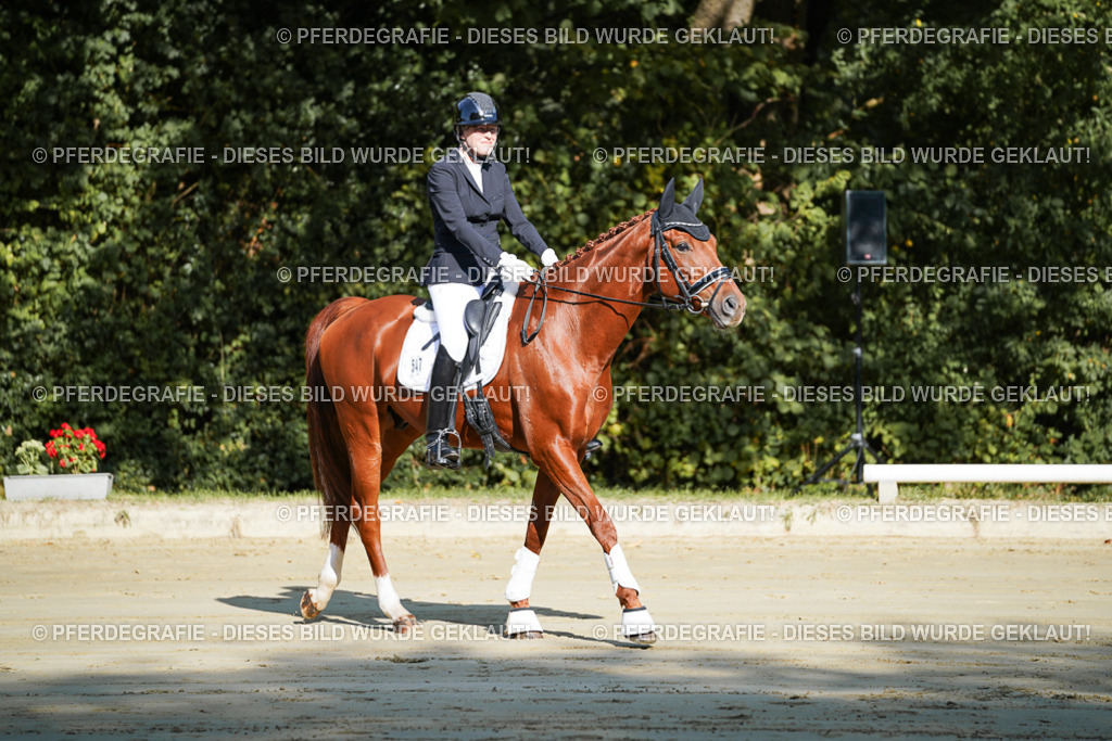 DSC07003 | Pferdegrafie