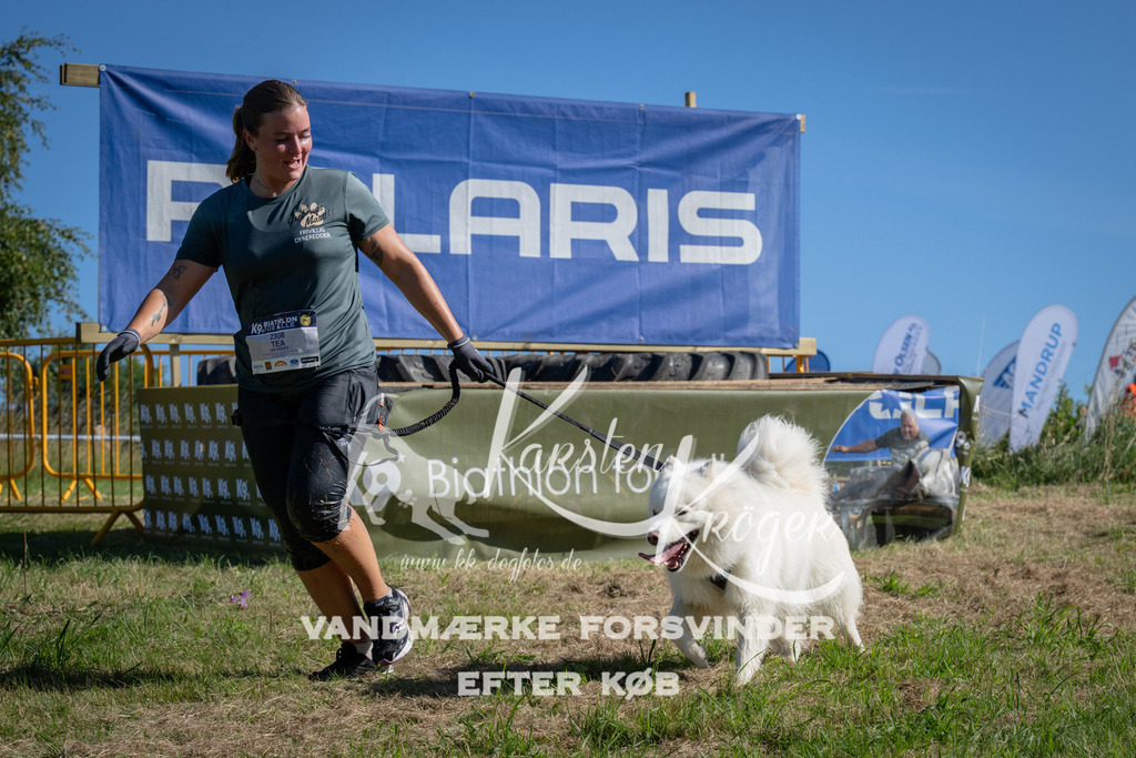 1012_ZZ97966 | kk-dogfotos