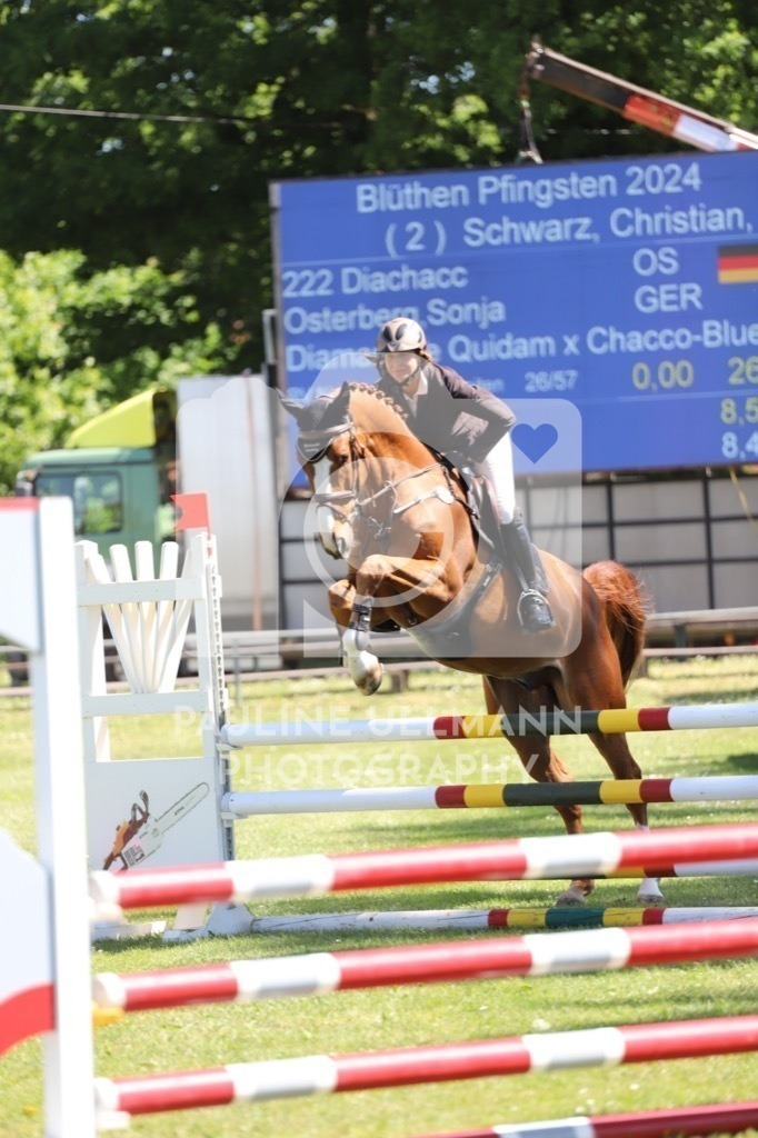 IMG_6192 | Pauline Ullmann Photography - Realisiert mit Pictrs.com