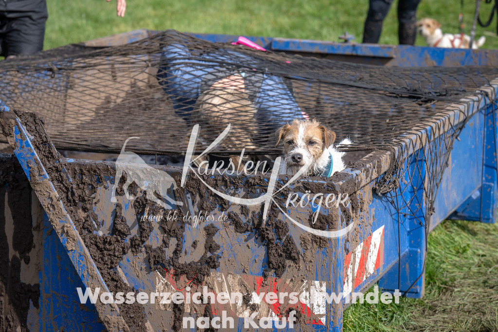 1414_ZZ91542 | kk-dogfotos