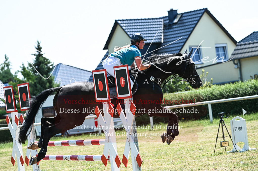 DSC_0070 | Pferde- und Turnierfotografie in Westsachsen. Pferdeportraits, Auftragszeichnungen und intuitive Kunst.